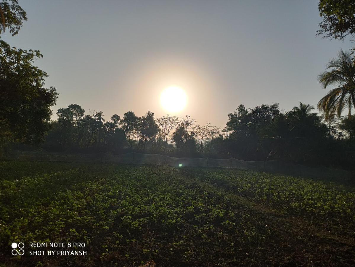 Priyansh Home Stay Harihareshwar Ngoại thất bức ảnh